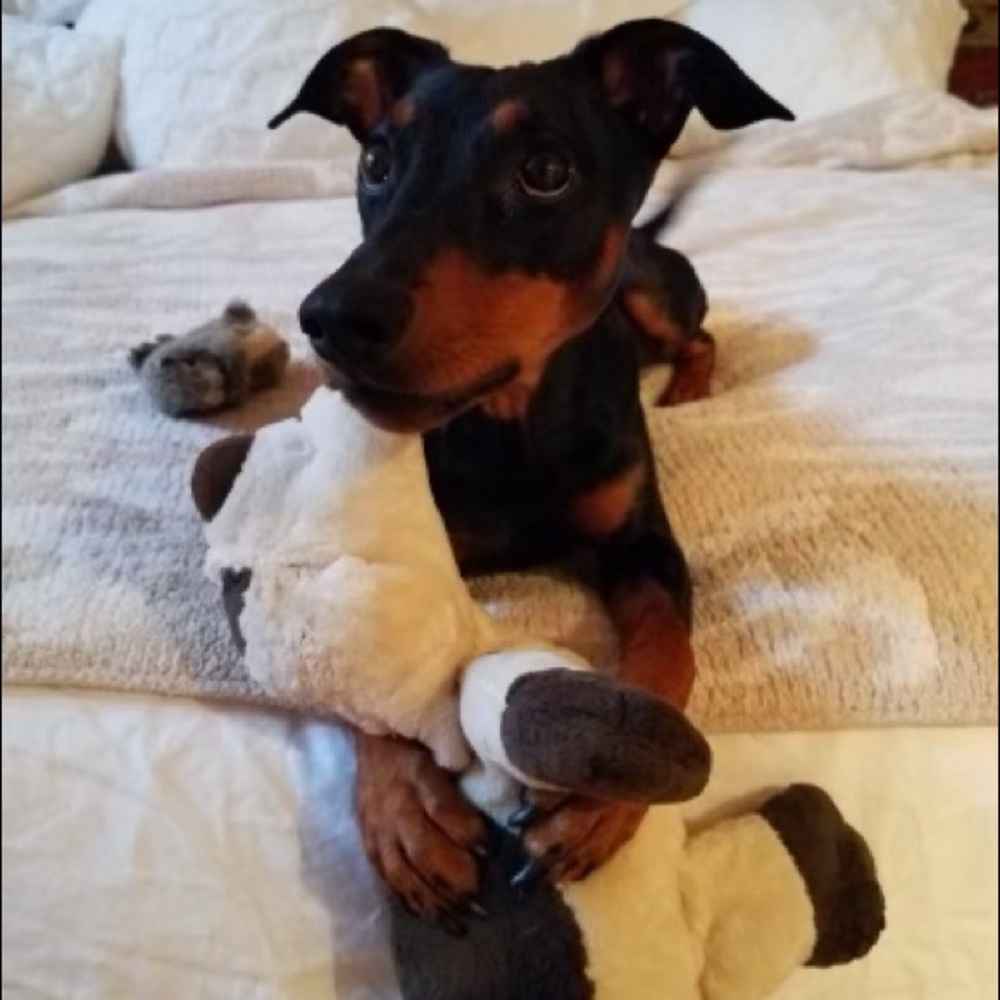 🔥AMBASSADOR🔥 - Picture 14 of 15